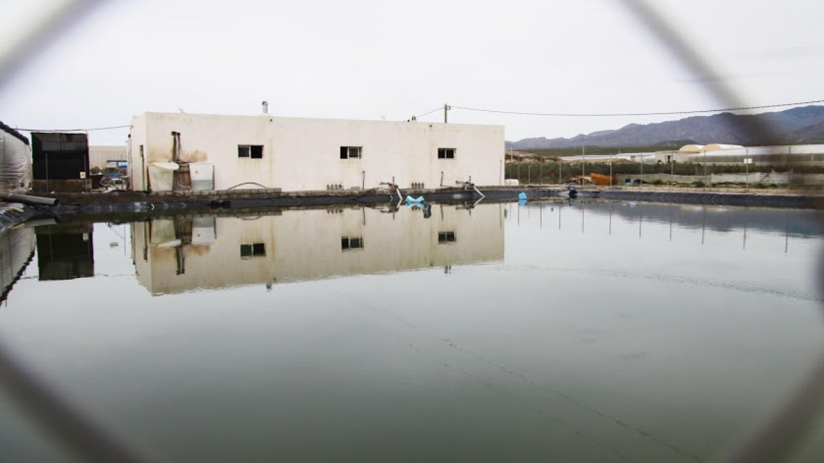 Imagen de archivo de una balsa de riego ubicada en la provincia de Almería.