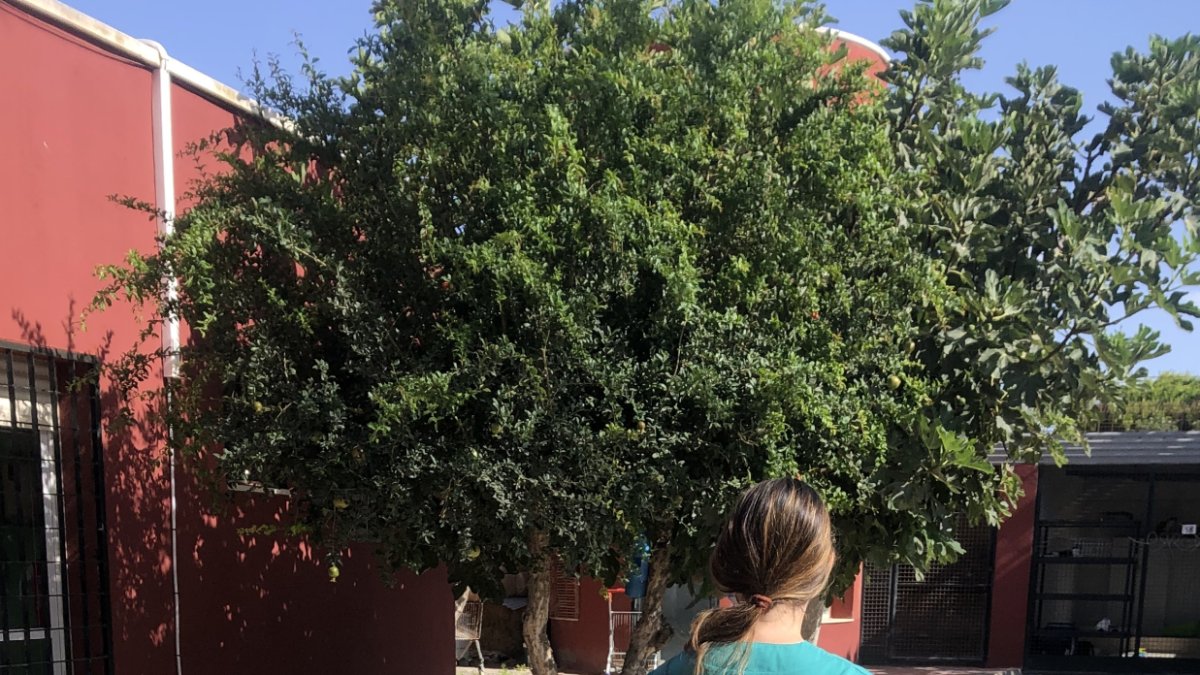 Una cuidadora en las instalaciones del Centro Zoosanitario.