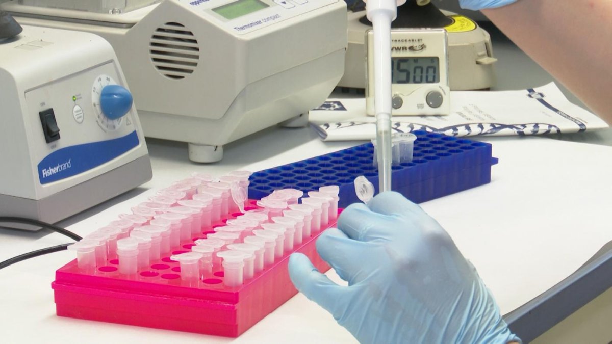 La Universidad de Oxford reanuda los ensayos de su vacuna contra la COVID-19.