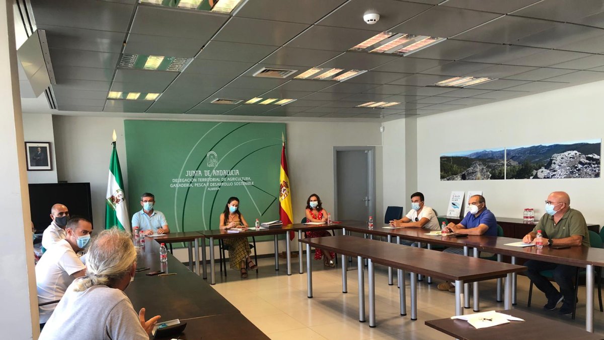 Imagen de la reunión.