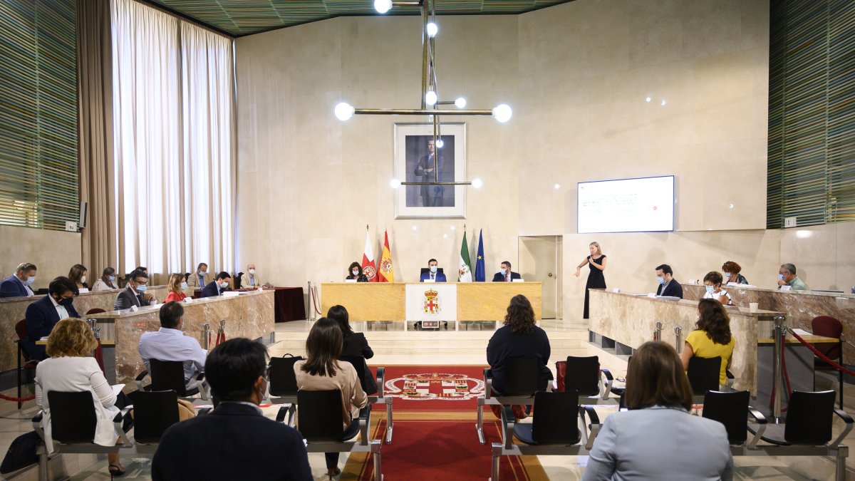 Sesión plenaria en la capital