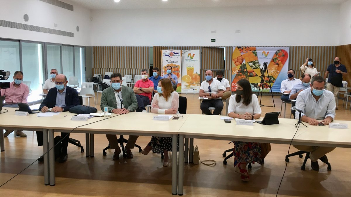 Vicente Pérez presenta el aforo de cítricos de Andalucía para la campaña 2020-2021.