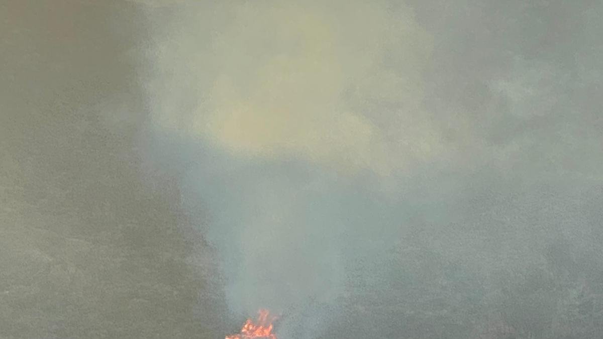 Fotografía de las llamas, que se encuentran muy próximas al municipio.