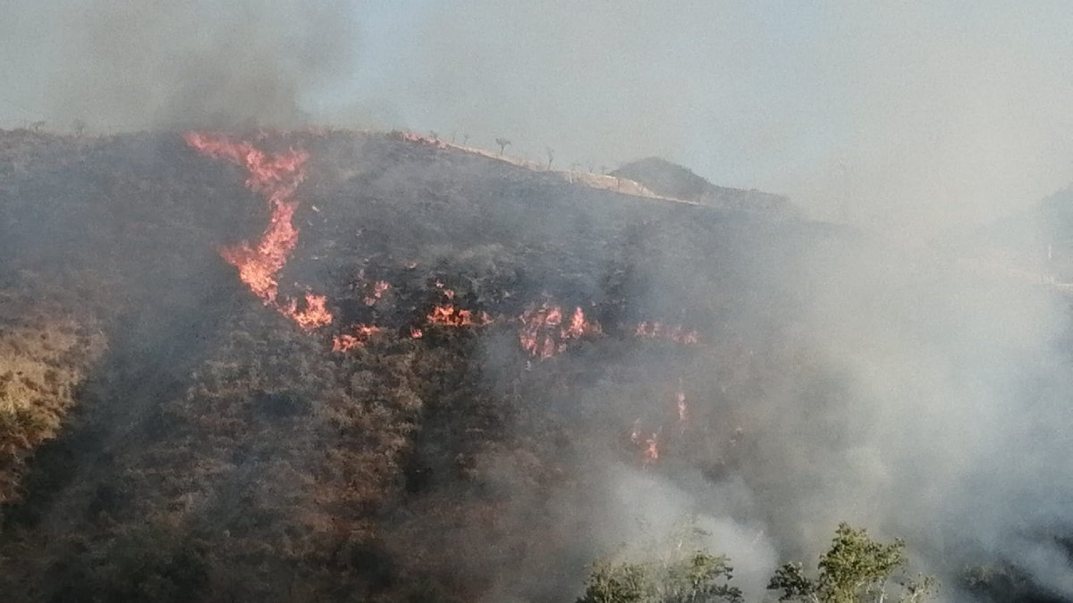 El incendio en la tarde de ayer en el municipio de Líjar.