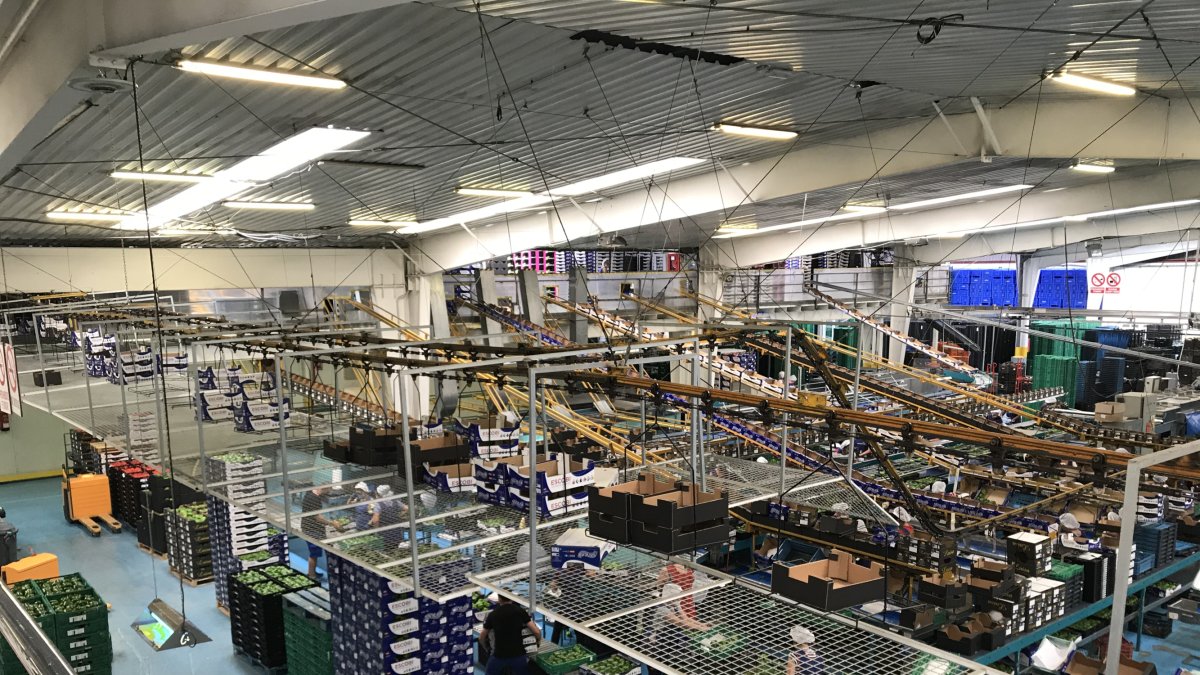 Frutas Escobi: pensando en las personas.