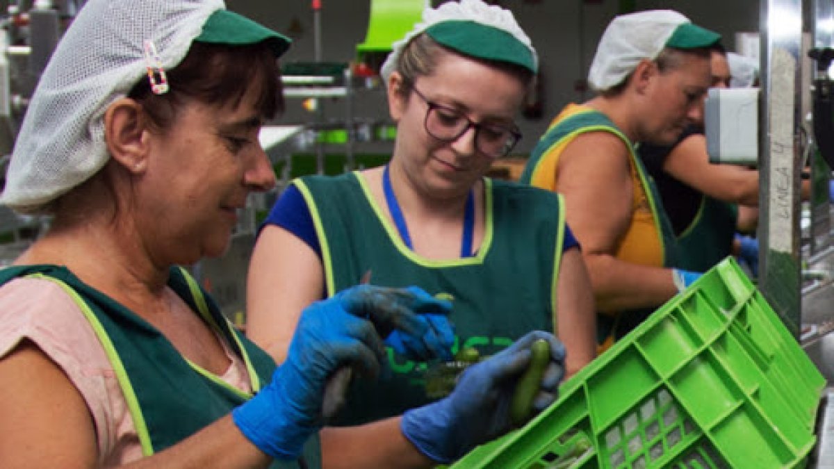 La Fundación UNICA estará al servicio de la formación de los agricultores.