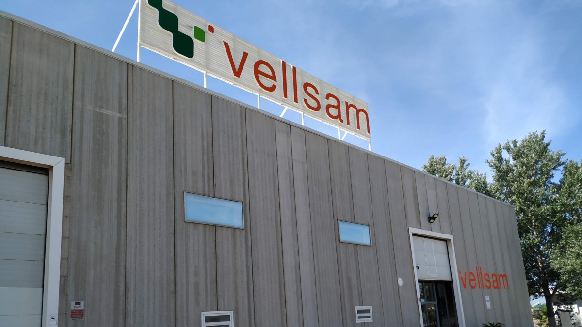 Vellsam, el crecimiento constante y consolidado de un grupo y equipo humano que ya es una familia.