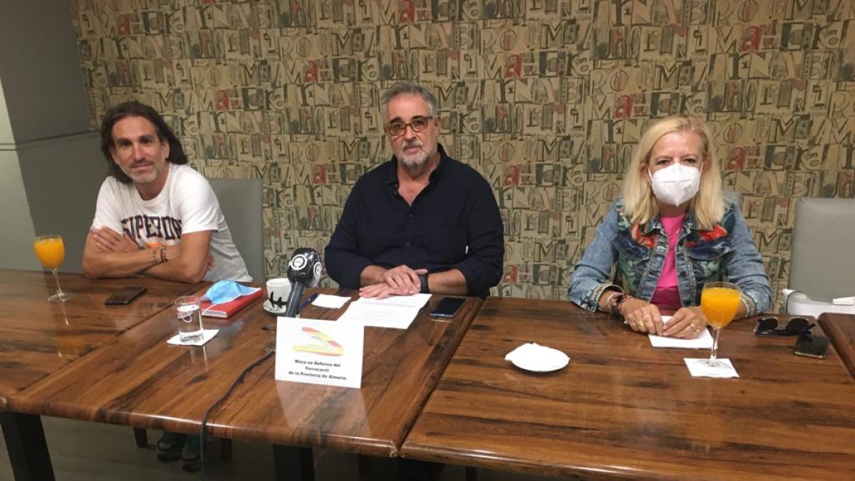 Comparecencia esta mañana de la Mesa del Tren.