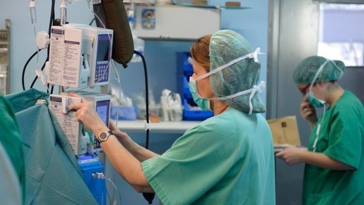 Se lanzarán contrataciones en 75 categorías profesionales distintas.