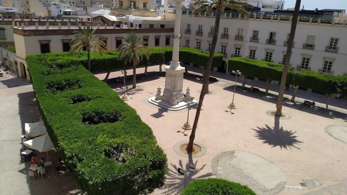 Los ficus de la Plaza Vieja se resisten al traslado.