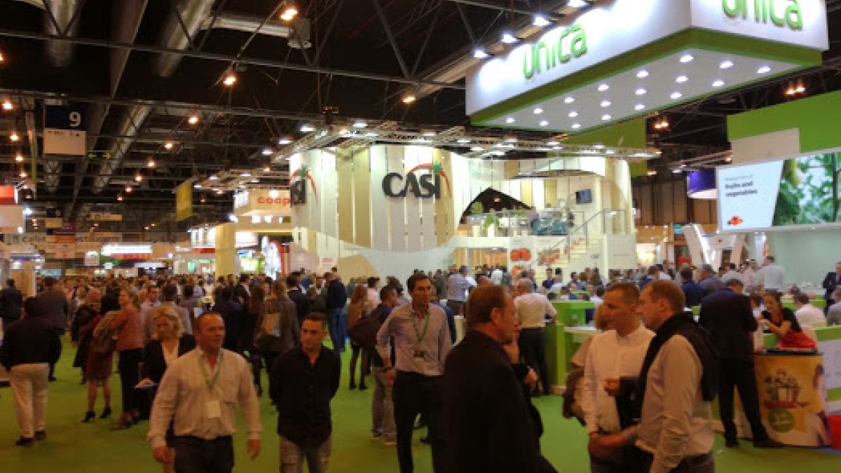 Los dos primeros congresos internacionales contaron con más de 400 asistentes.