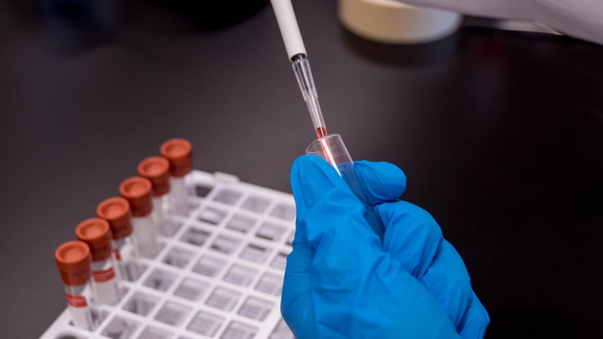 El lanzamiento masivo de una vacuna podría acelerarse a fin de año.