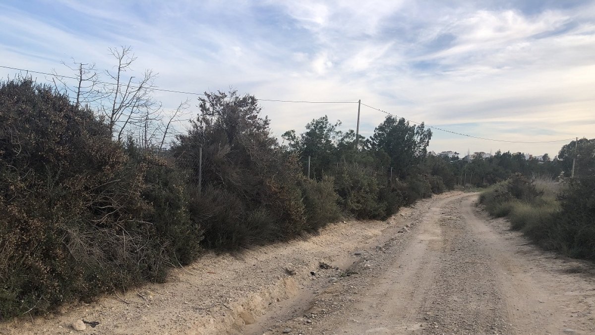 Uno de los caminos objeto de las próximas actuaciones.
