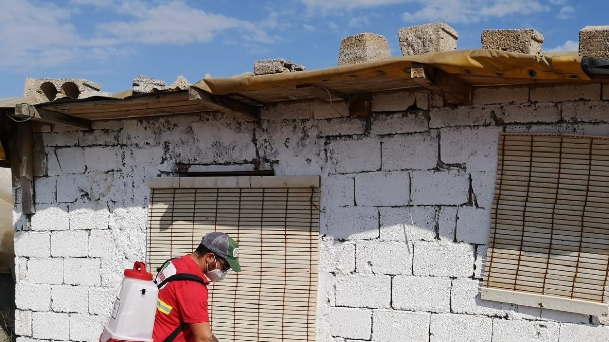 Un operario municipal desinfecta un cortijo en El Ejido.