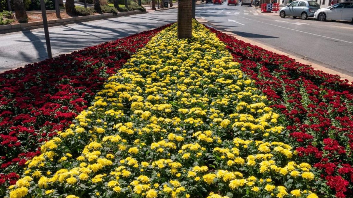 Los colores de la bandera española en flores de plazas almerienses.