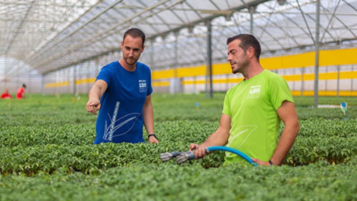 Trabajadores de la delegación de Níjar.