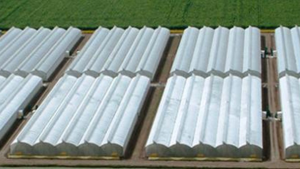 Imagen del tour publicada en la página web de Ifema.