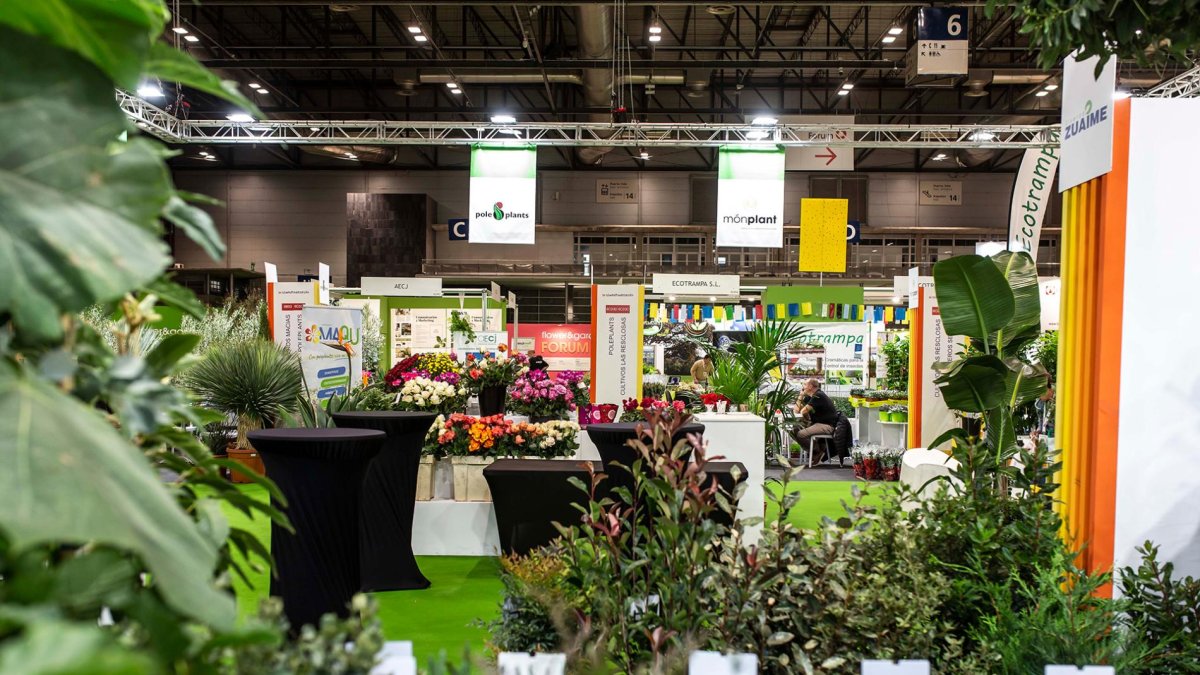 Se está celebrando hasta el 31 de octubre.