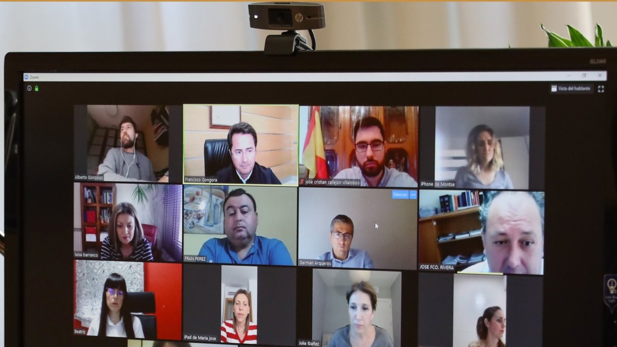Desarrollo de la Junta de gobierno Local de forma virtual.