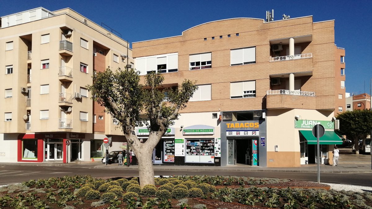 El ajardinamiento ornamental culmina la obra de la nueva rotonda de la calle Instinción, en el barrio de Los Molinos.