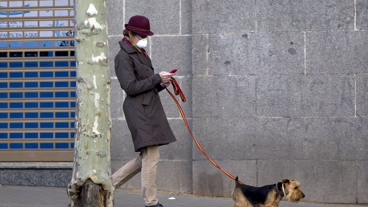 ¿Puedo sacar al perro por la noche durante el toque de queda?