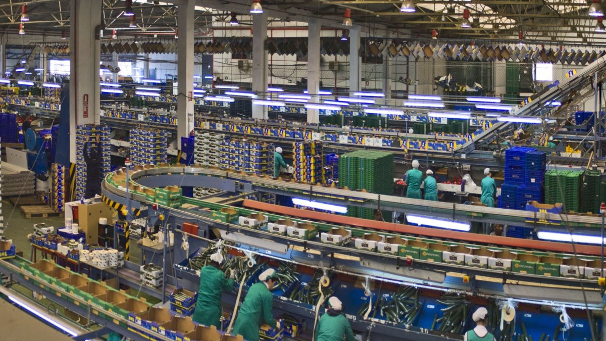 Los protocolos se aplican en el campo y en los almacenes