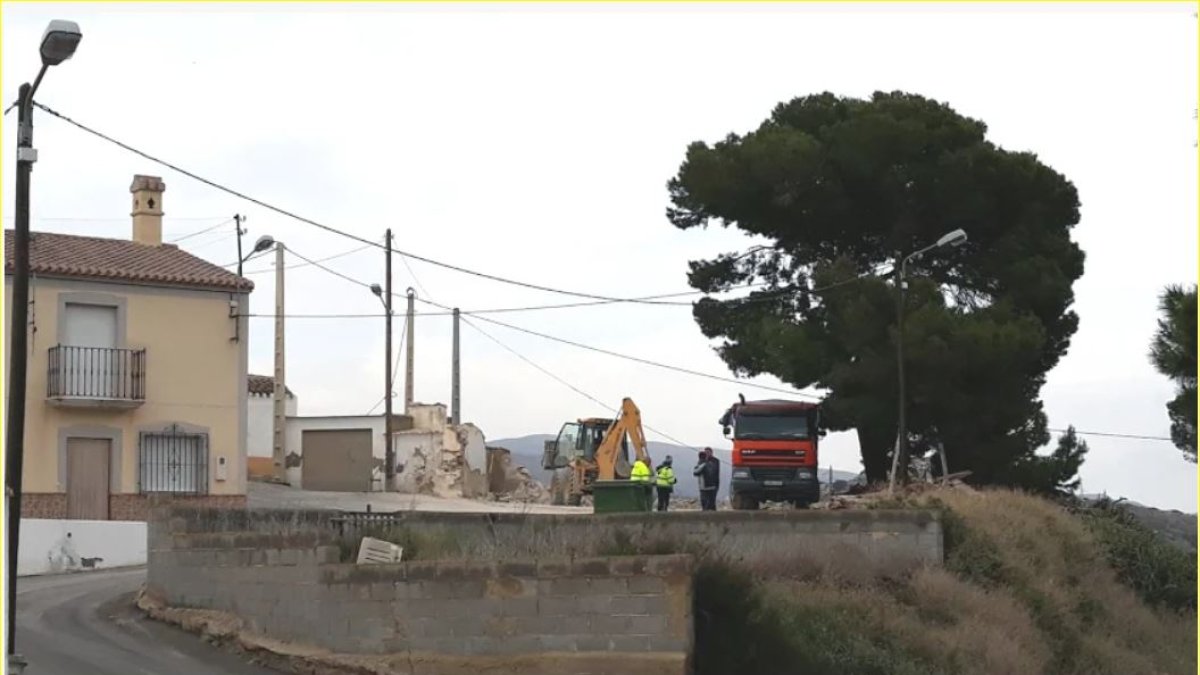 En la imagen, el pino centenario de Los Castaños que acaba de ser derribado