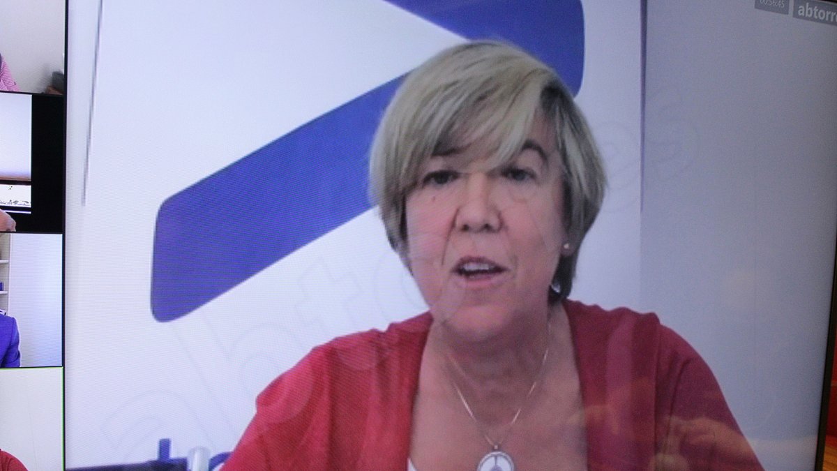 La directora general de Tecnova en el webinar.