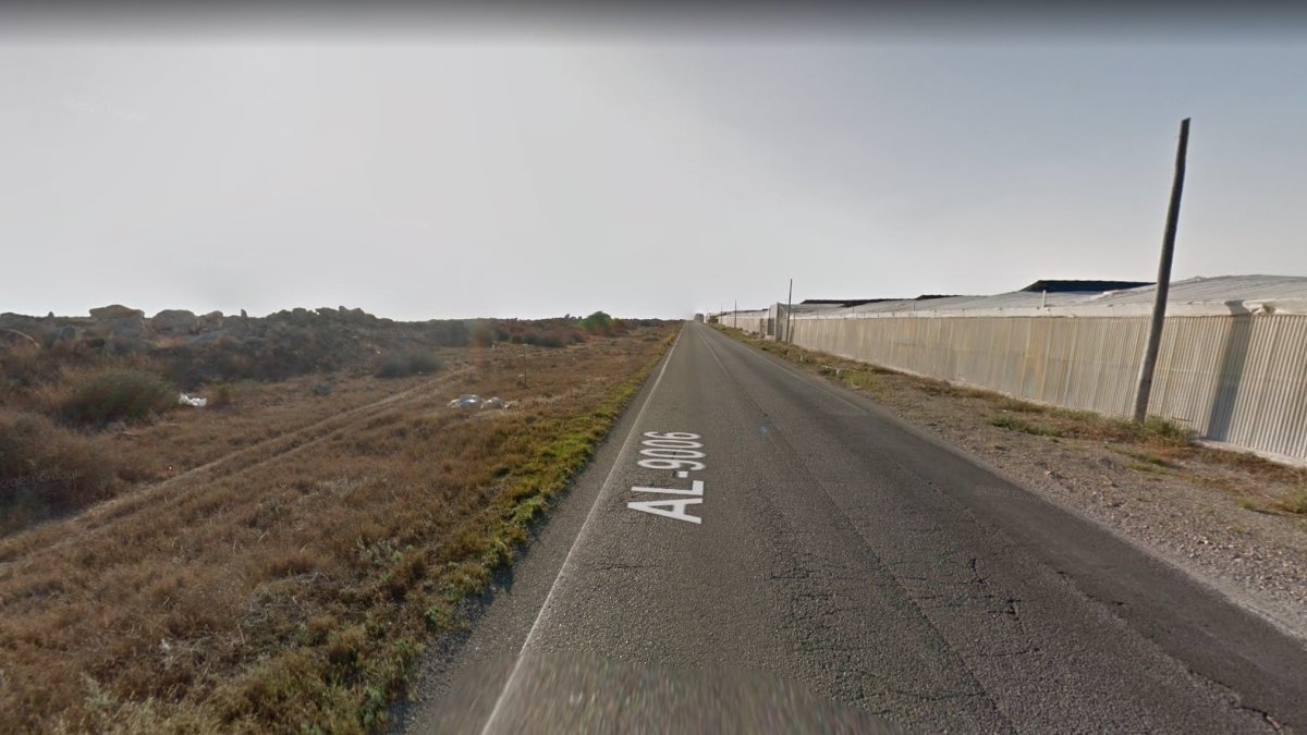 El atropello mortal ha tenido lugar en el carretera AL-9006.