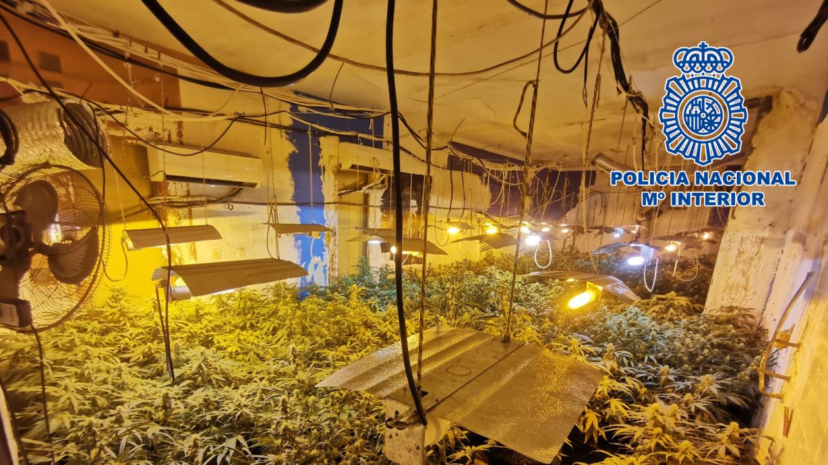 La Policía Nacional sorprende a un joven saliendo de una vivienda con varias macetas de marihuana.