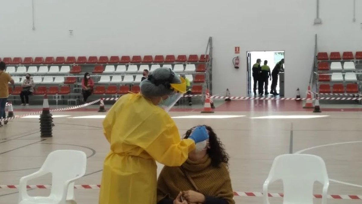 Cribado en Los Gallardos.