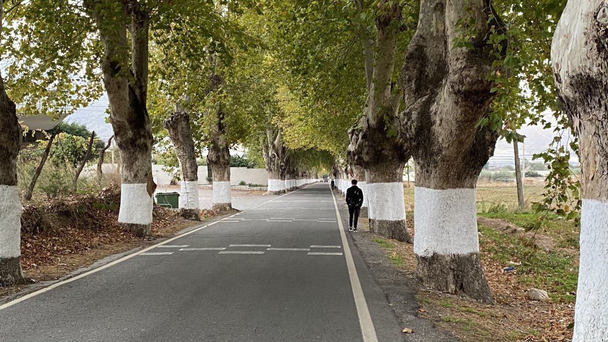 Imagen de un peatón transitando por la A-347