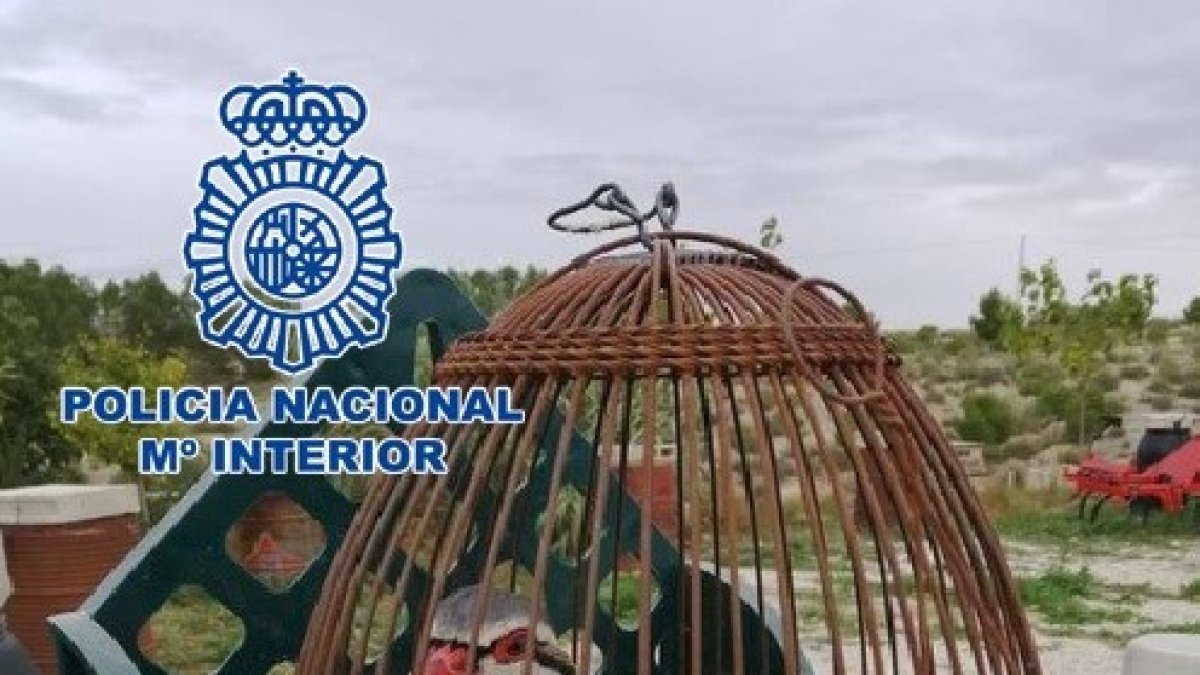 Uno de los animales robados.