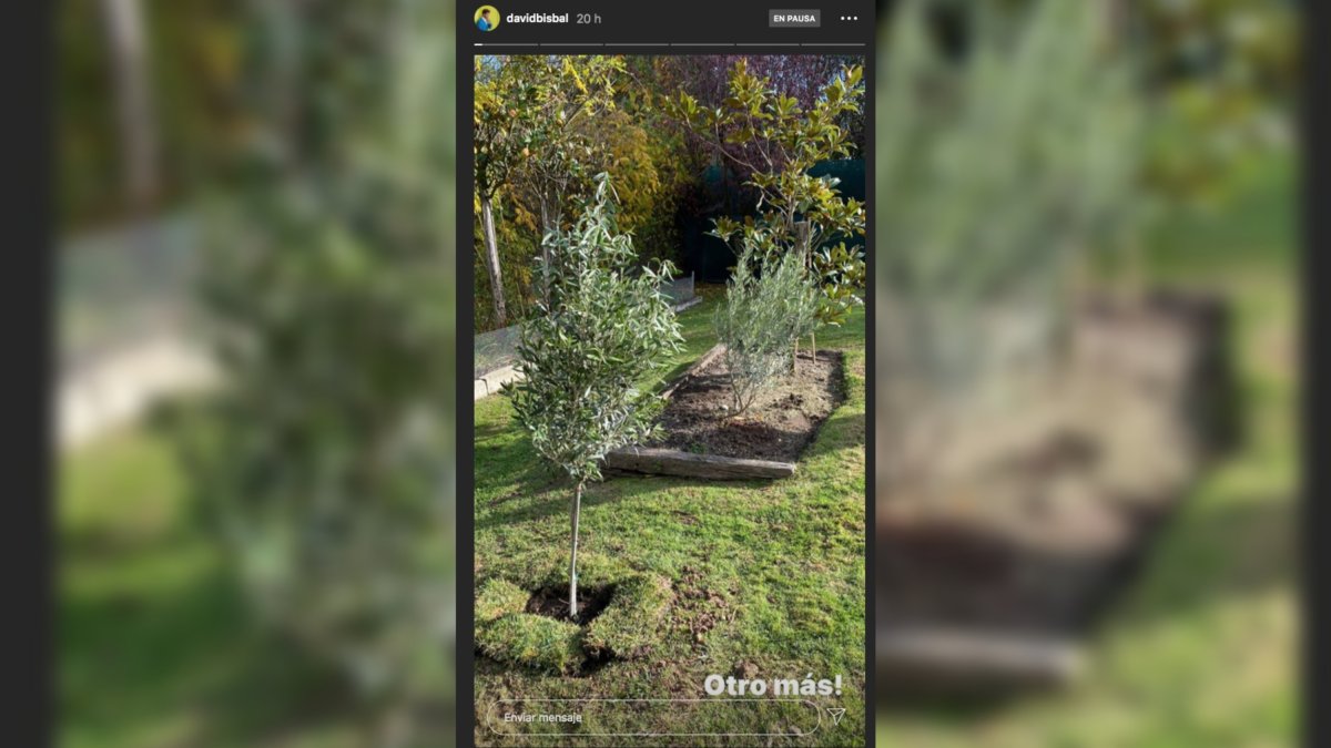 Imagen compartida por David Bisbal en Instagram.