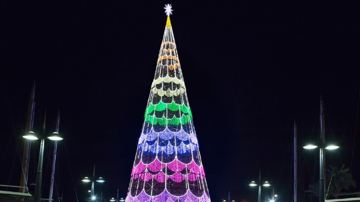 Un pino de 32 metros de altura para la Plaza de las Velas.