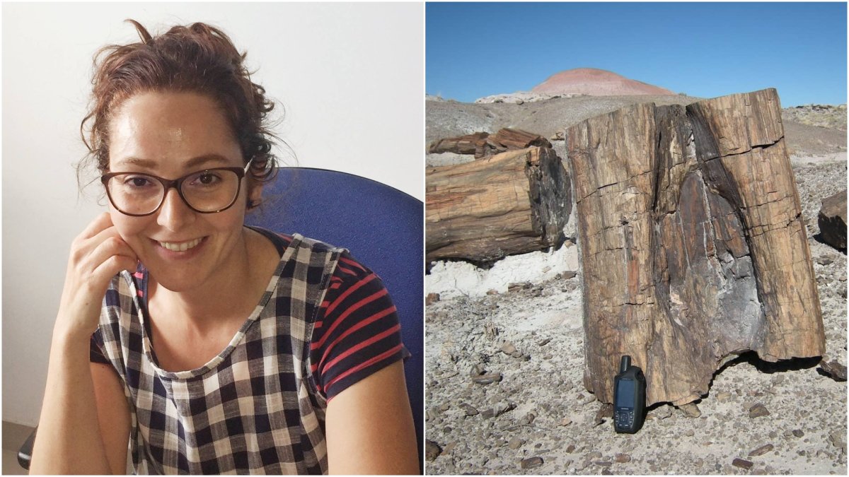 La investigadora Lucía DeSoto y una imagen del árbol, ambas extraídas del Facebook de la Estación Experimental de Zonas Áridas.