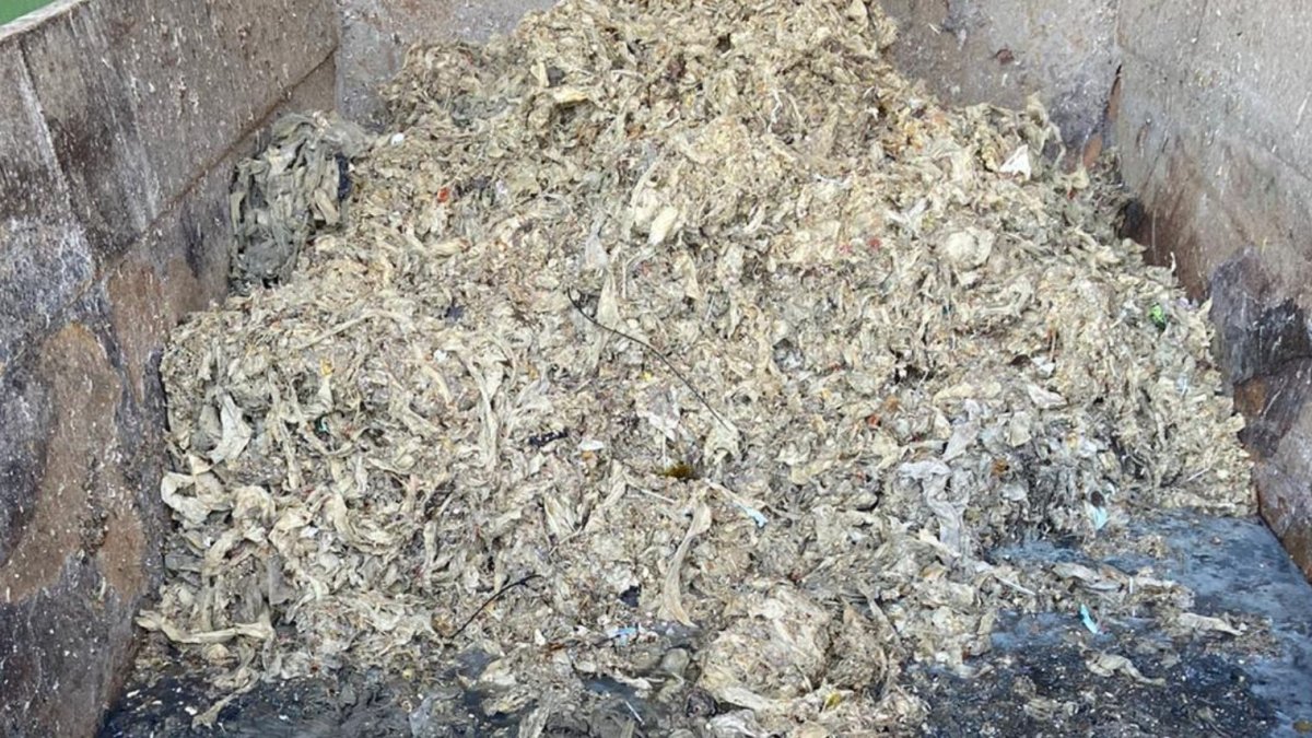 Toallitas rescatadas del alcantarillado roquetero.