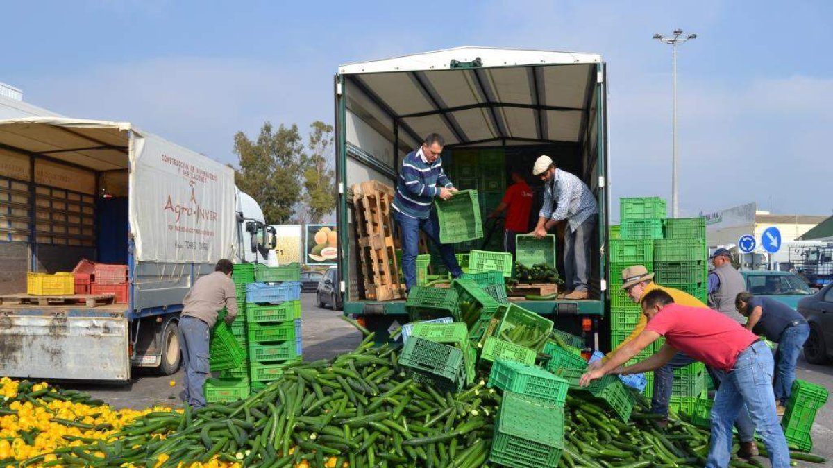 Destrucción de hortalizas como acto de protesta.