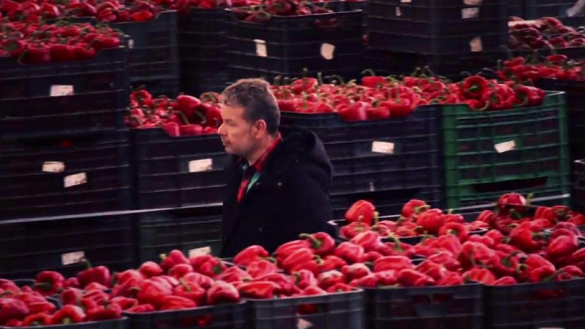 Chicote, entre pimientos, en una empresa de Almería.