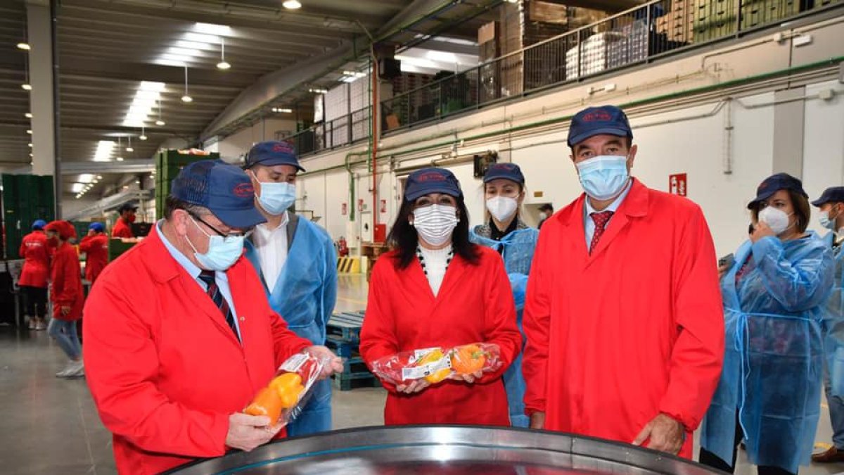 Marta Bosquet ha recorrido las instalaciones de Vicasol 3 en El Ejido, y ha felicitado a los socios por el trabajo que realizan