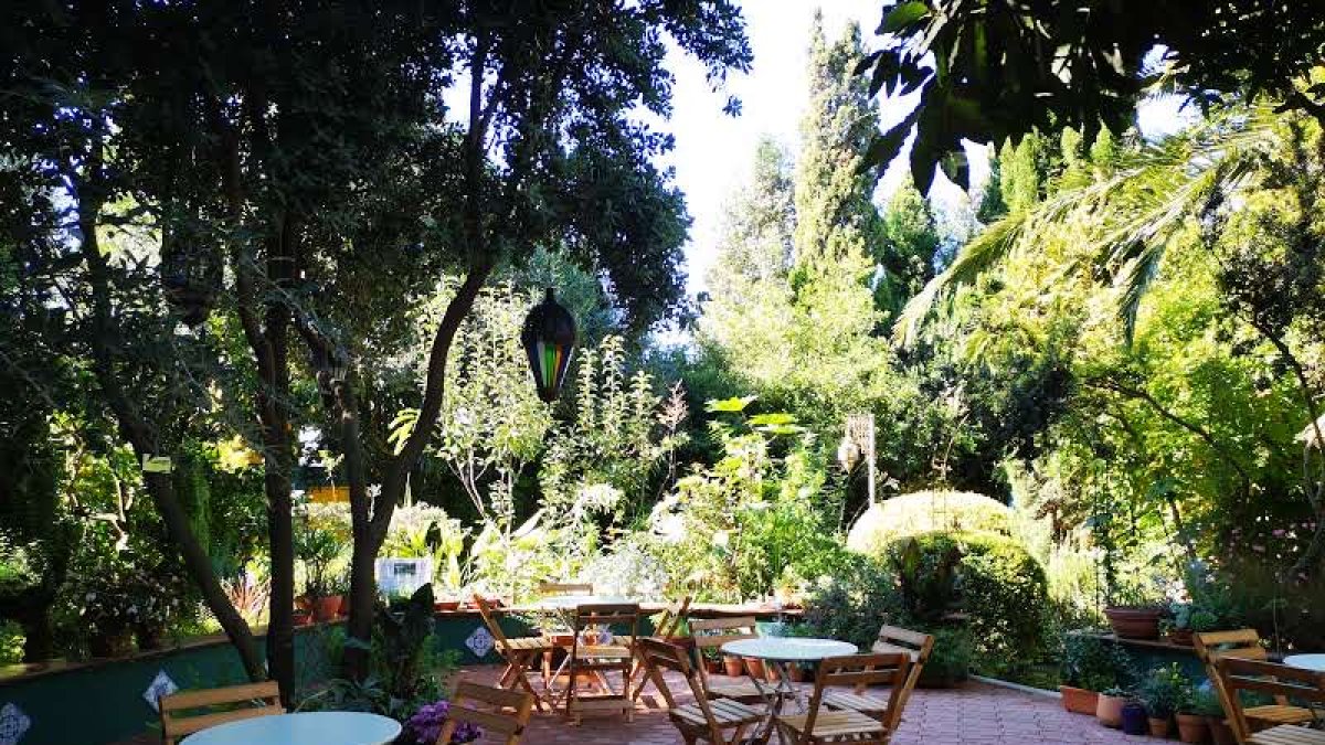 Las puertas de este jardín se abrieron al público en 2016 y, desde entonces, forma parte de la oferta turística del municipio ejidense.