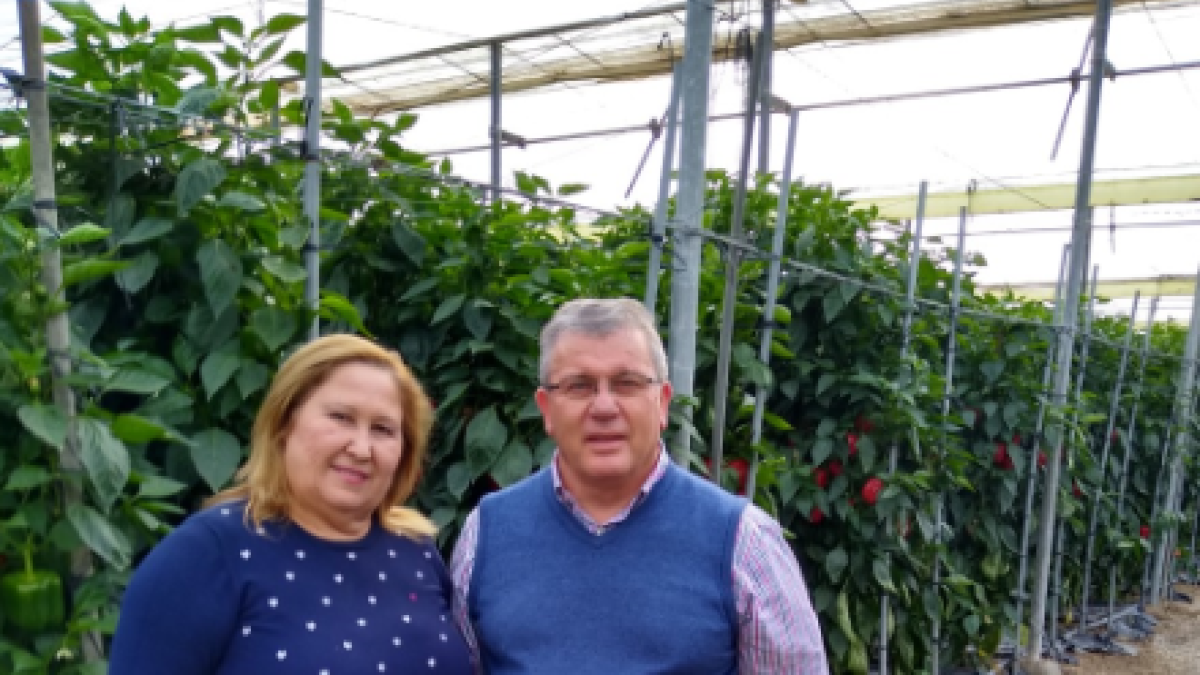 Paqui Martín y Juan Antonio González, en el invernadero familiar.