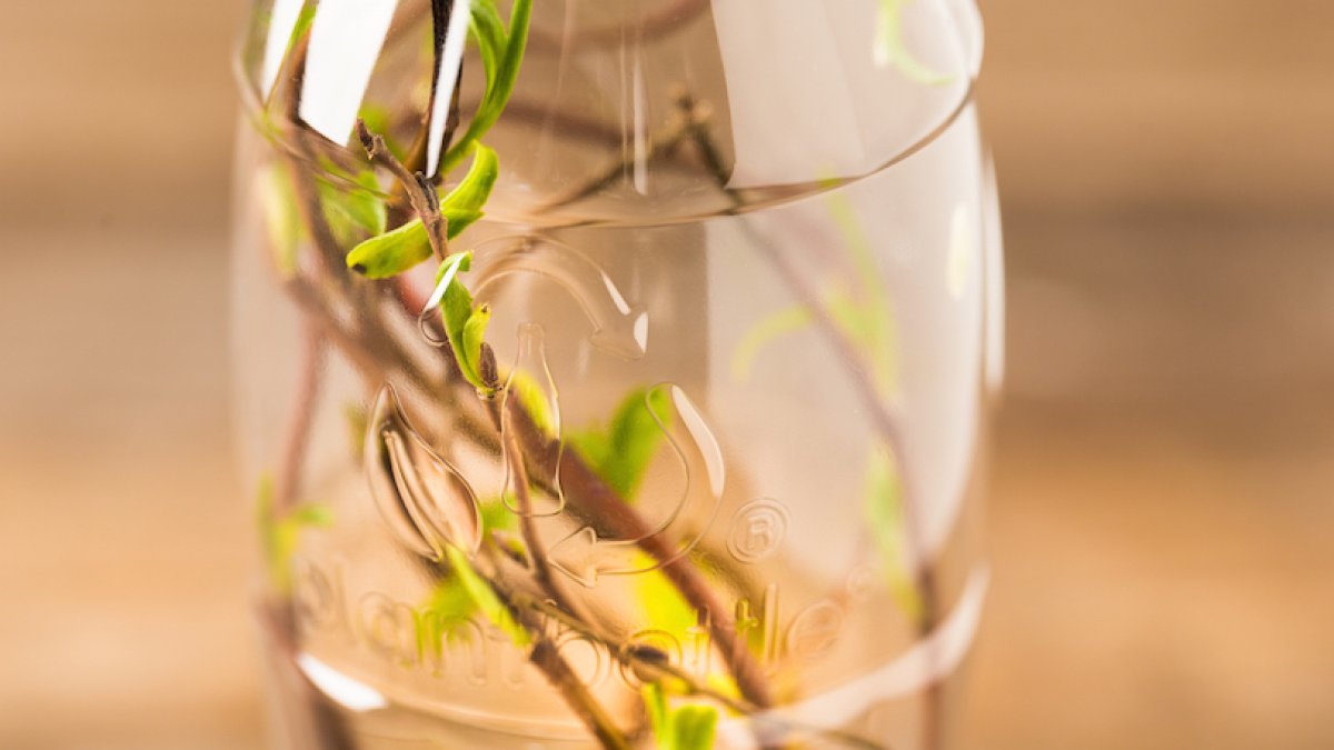 Coca-Cola European Partners tiene nuevo objetivo, validado científicamente de reducción de emisiones de gases de efecto invernadero del 30% para 2030