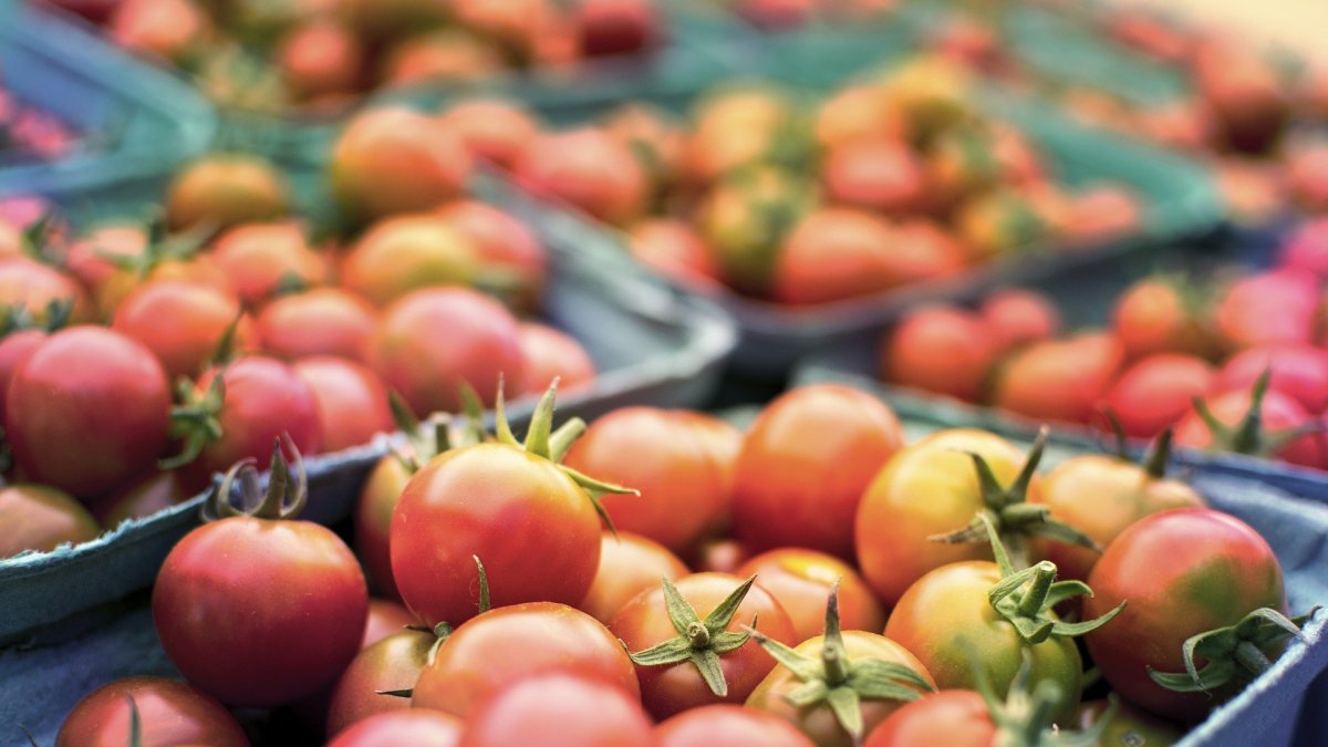 Firme compromiso de la Junta para modernizar el sector.