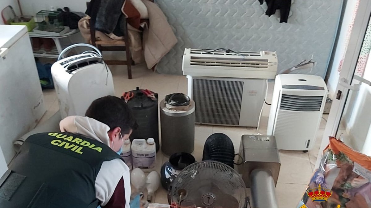 La Guardia Civil da un nuevo golpe al tráfico de droga en la provincia.