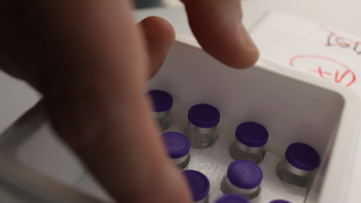 Las primeras vacunas llegaron ayer a la provincia.