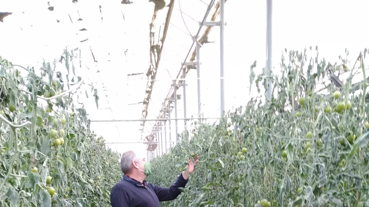 ASAJA recuerda la importancia realizar informes de daños para aquellas explotaciones que no cuenten con seguro de cosecha.