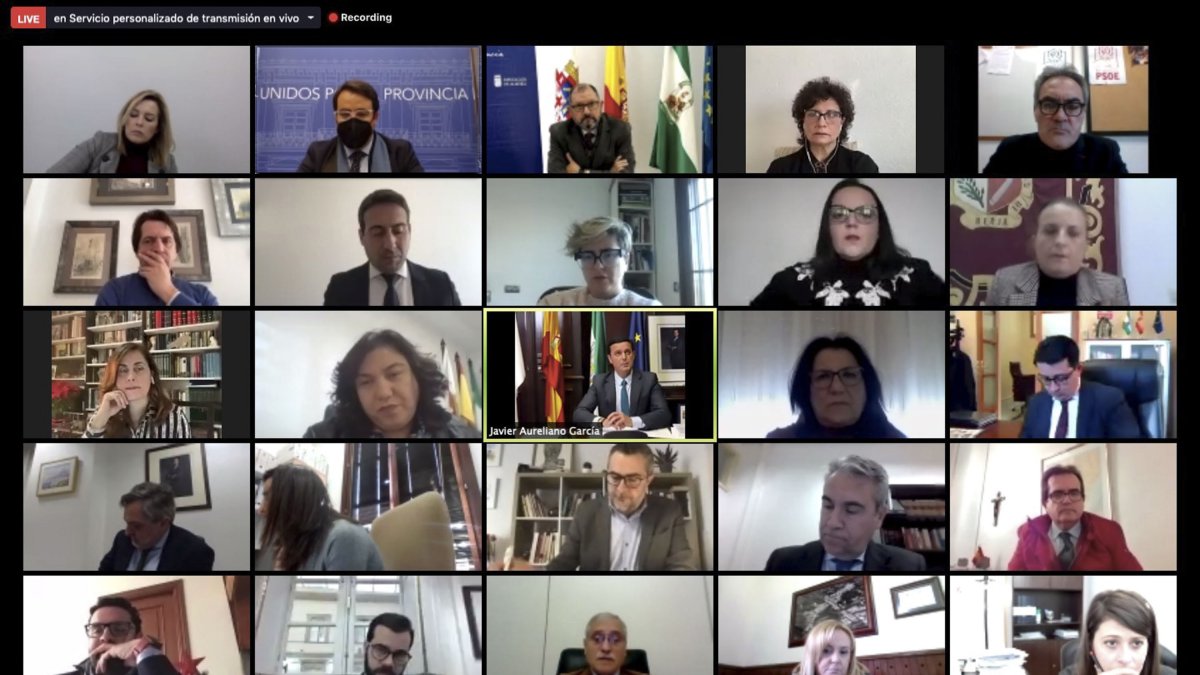 Pleno de la Diputación de Almería celebrado este martes.