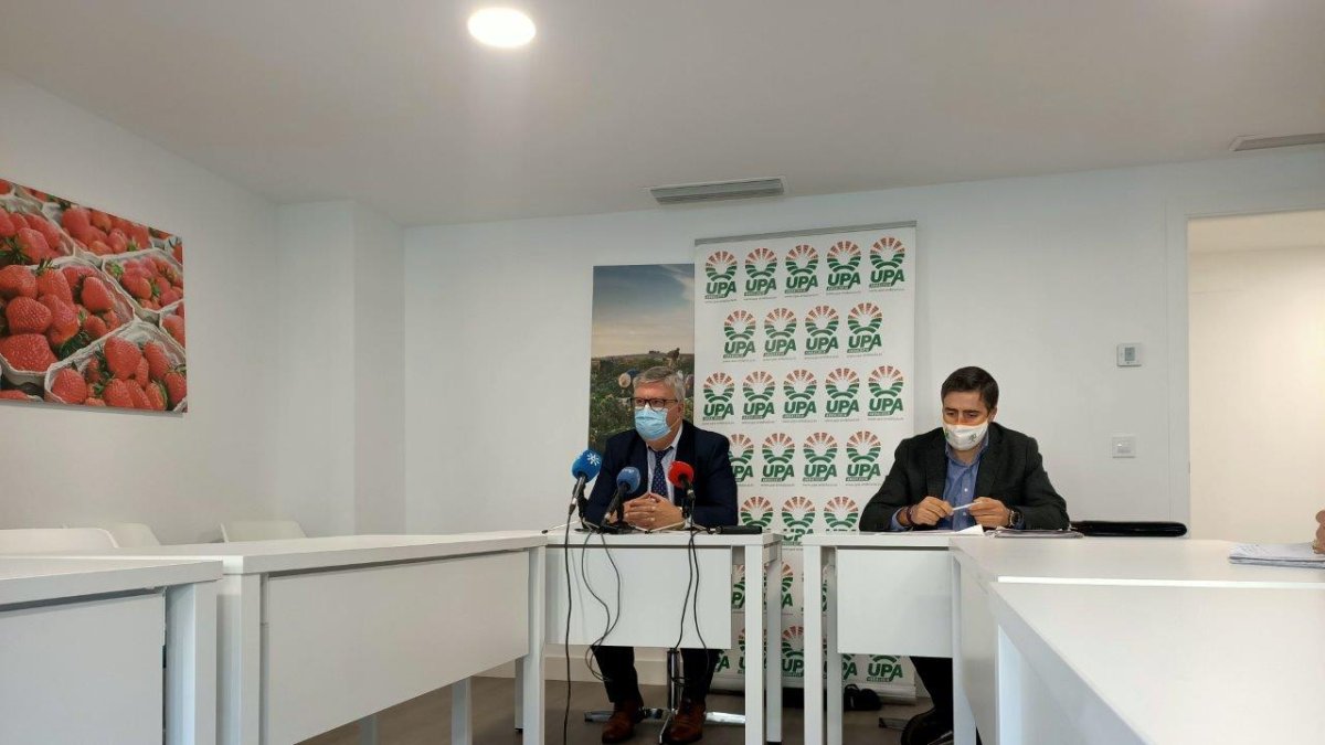 El sector productor se perpetúa trágicamente un año más como el eslabón más débil de la cadena