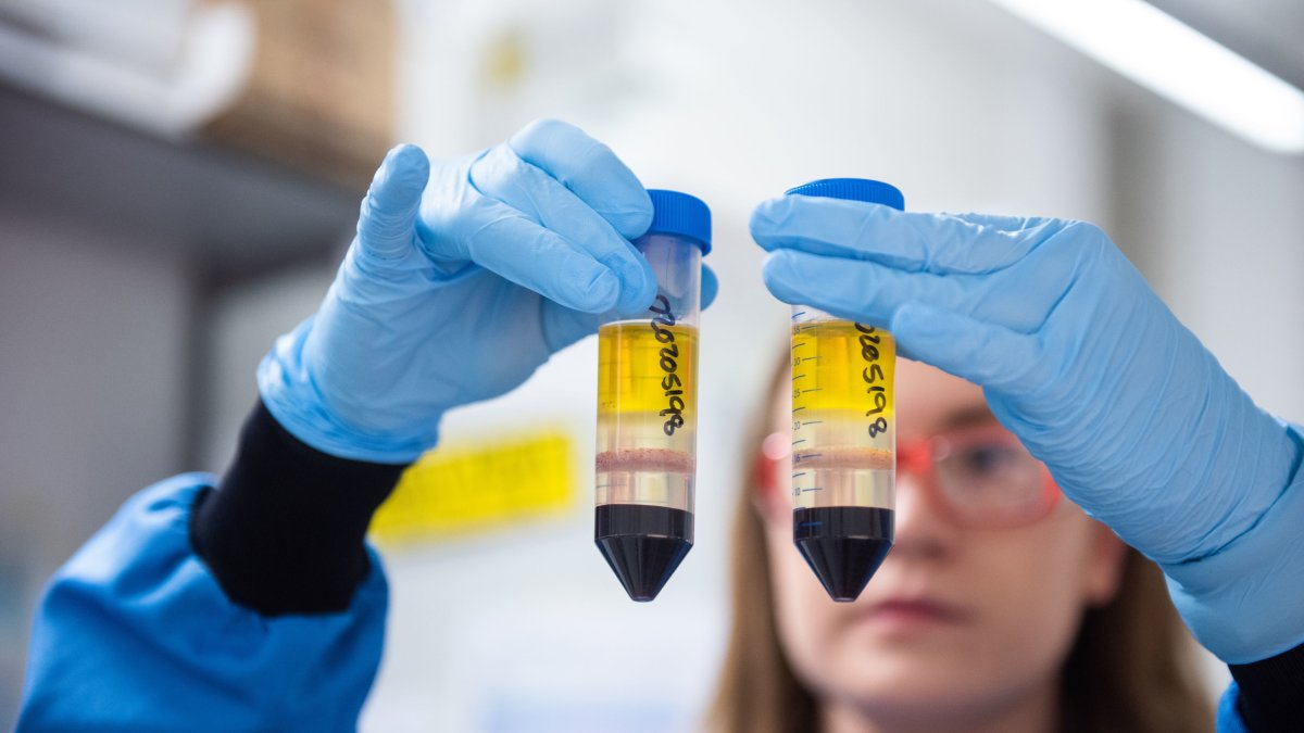 Una investigadora trabaja en la vacuna de Oxford y AstraZeneca.
